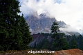 wbgarden alps 95